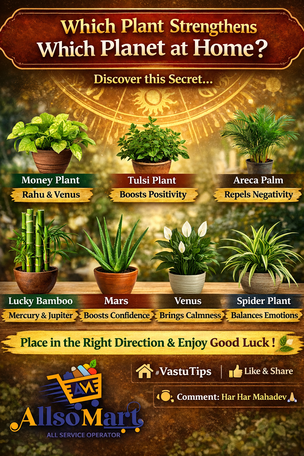 Which Plant Strengthens Which Planet at Home? Discover the Big Vastu Secret