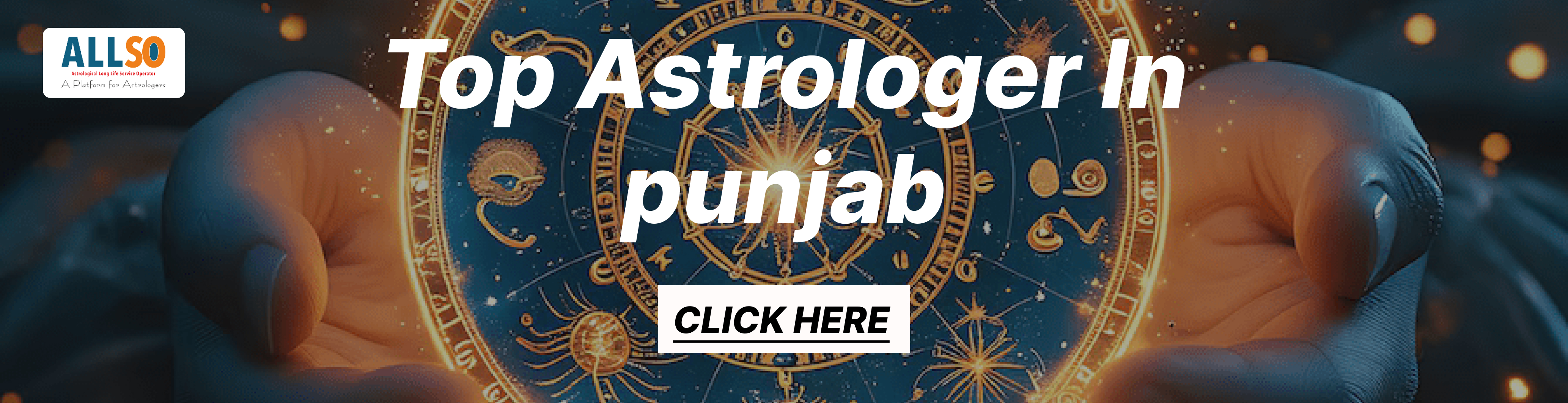 top astrologers in punjab